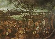 Pieter Bruegel den dystra dagen,februari Spain oil painting artist